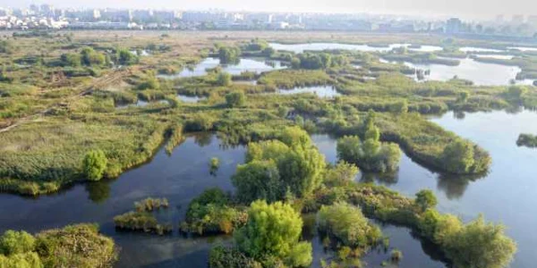 balta vacaresti FOTO Helmut Ignat 