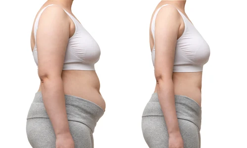 shutterstock 2478532485 jpg