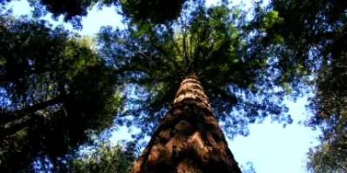 Drobeta Turnu Severin: Două milioane de euro pentru parcuri
