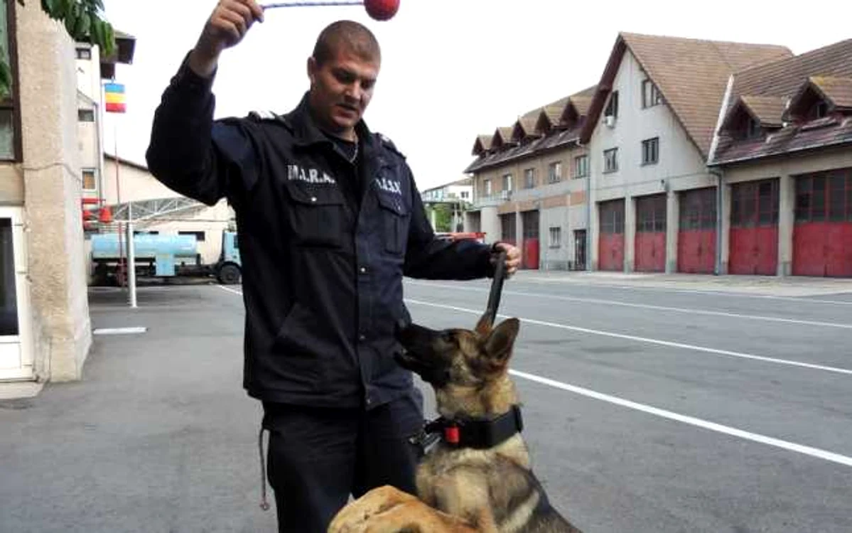 Bebe va fi dresat pentru a participa la misiuni de salvare dificile. FOTO: ISU Hunedoara.