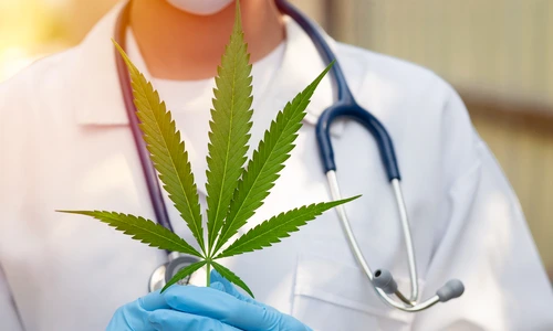 1 shutterstock 1933615763 jpg jpeg