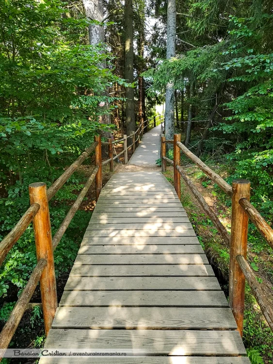 Tinovul Mohoș, din județul Harghita. FOTO aventurainromania.ro