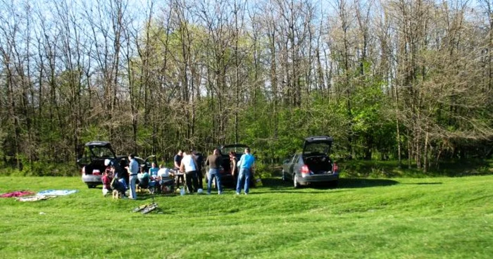 Amenzi pentru cei care nu respectă natura FOTO Adevărul