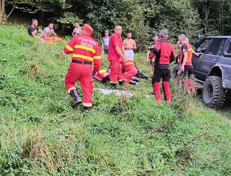 Bărbat din Maramureș, atacat de o ursoaică. Omul căuta un animal rătăcit în pădure