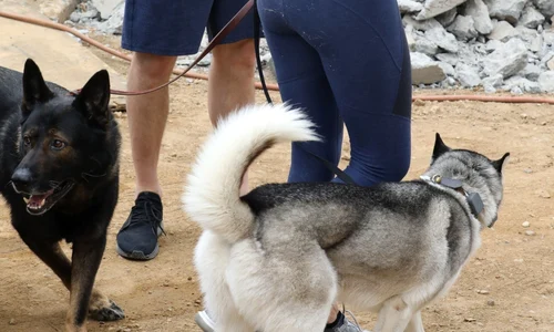 Ben Affleck goes hiking with his girlfriend Lindsay Shookus jpeg