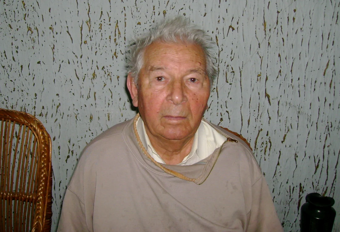 
    Nicolae Diaconescu  