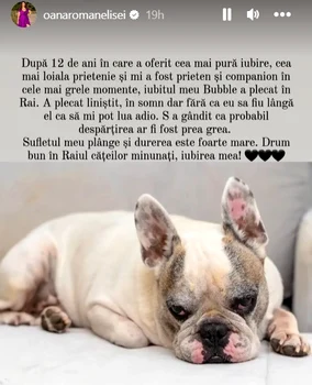 După 12 ani în care i-a fost alături, Bubble s-a stins din viață / Foto: Instagram