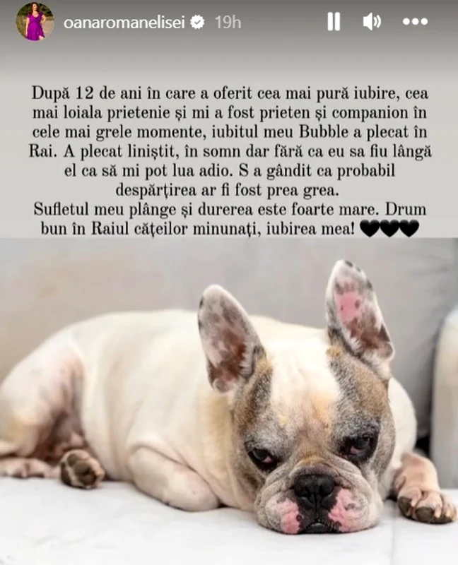 După 12 ani în care i-a fost alături, Bubble s-a stins din viață / Foto: Instagram