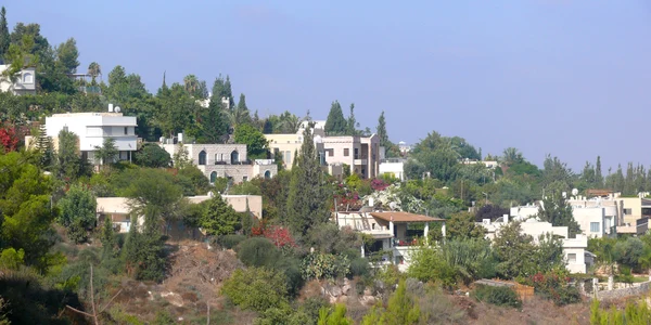 Neve Shalom 2013 jpg
