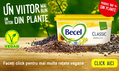 10 becel bannery adevarul 620x400 jpg jpeg