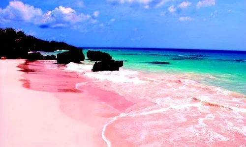 fd94576bc5d616b0faa8bbb8b79c46ab jpeg