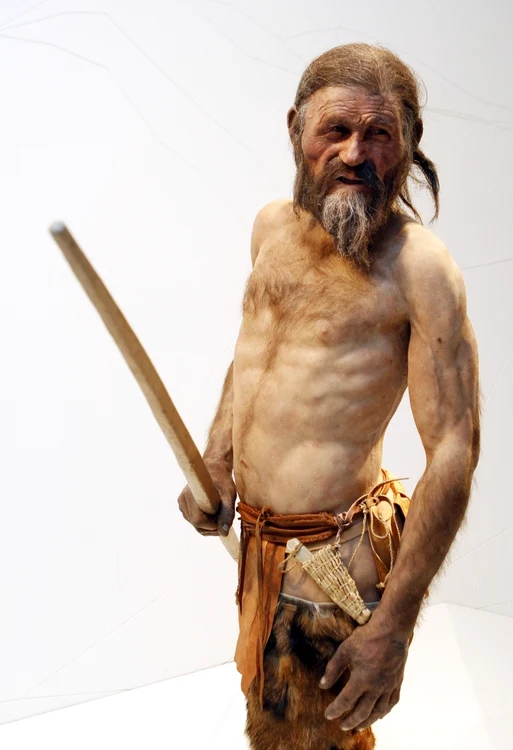 otzi full jpg jpeg