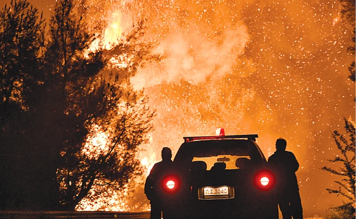 Flăcările au mistuit pădurile de pinFoto: AFP