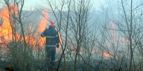 Incendiile de vegetaţie uscată s-au prelungit din cauza lipsei de precipitaţii