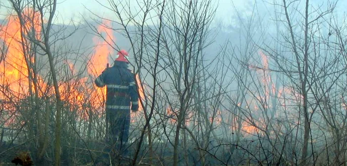 Sapte hectare de vegetatie uscata ard in apropierea Schitului Pahomie