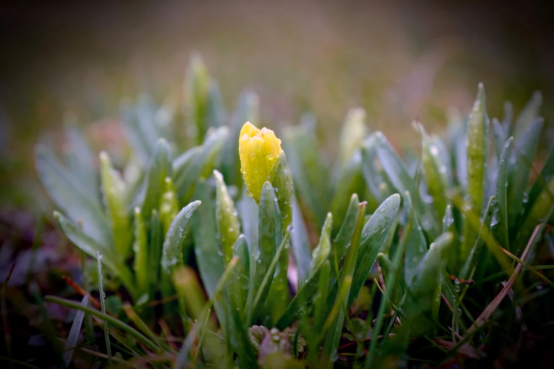 Prognoza meteo joi, 28 martie FOTO Shutterstock