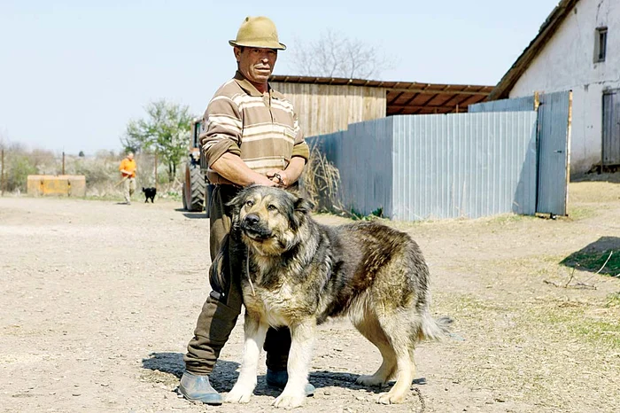 Nea Iordache și căpetenia haitei, Lala, sunt cei mai buni prieteni