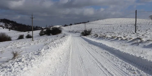drum ruda poienita voinii foto daniel guta adevarul