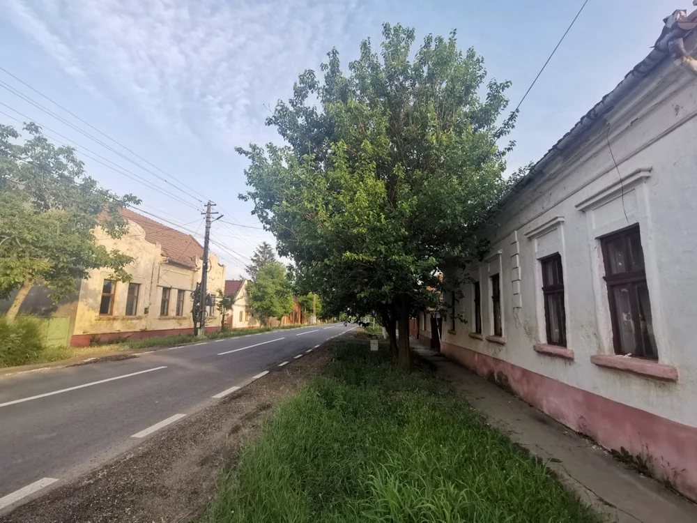Comuna Otelec FOTO Ş.Both