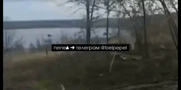 uukr gif gif