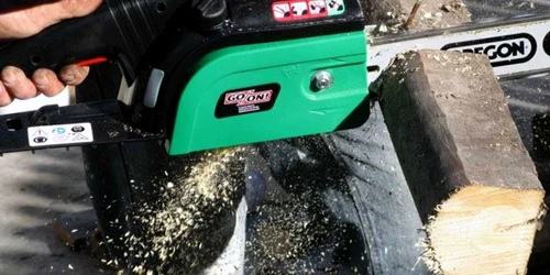 Arhivă foto: Arădenii selectați au minim trei ani experiență 