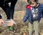 Plantare copaci FOTO Fundatia Grande Gloria jpg