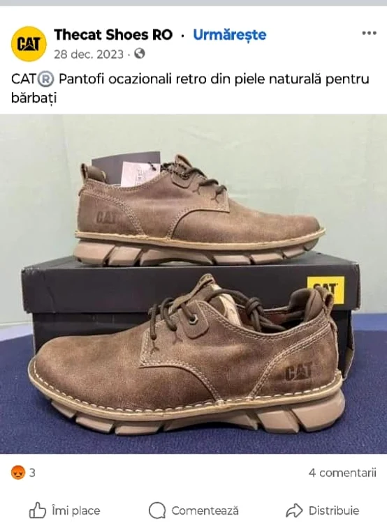Pantofii comandați