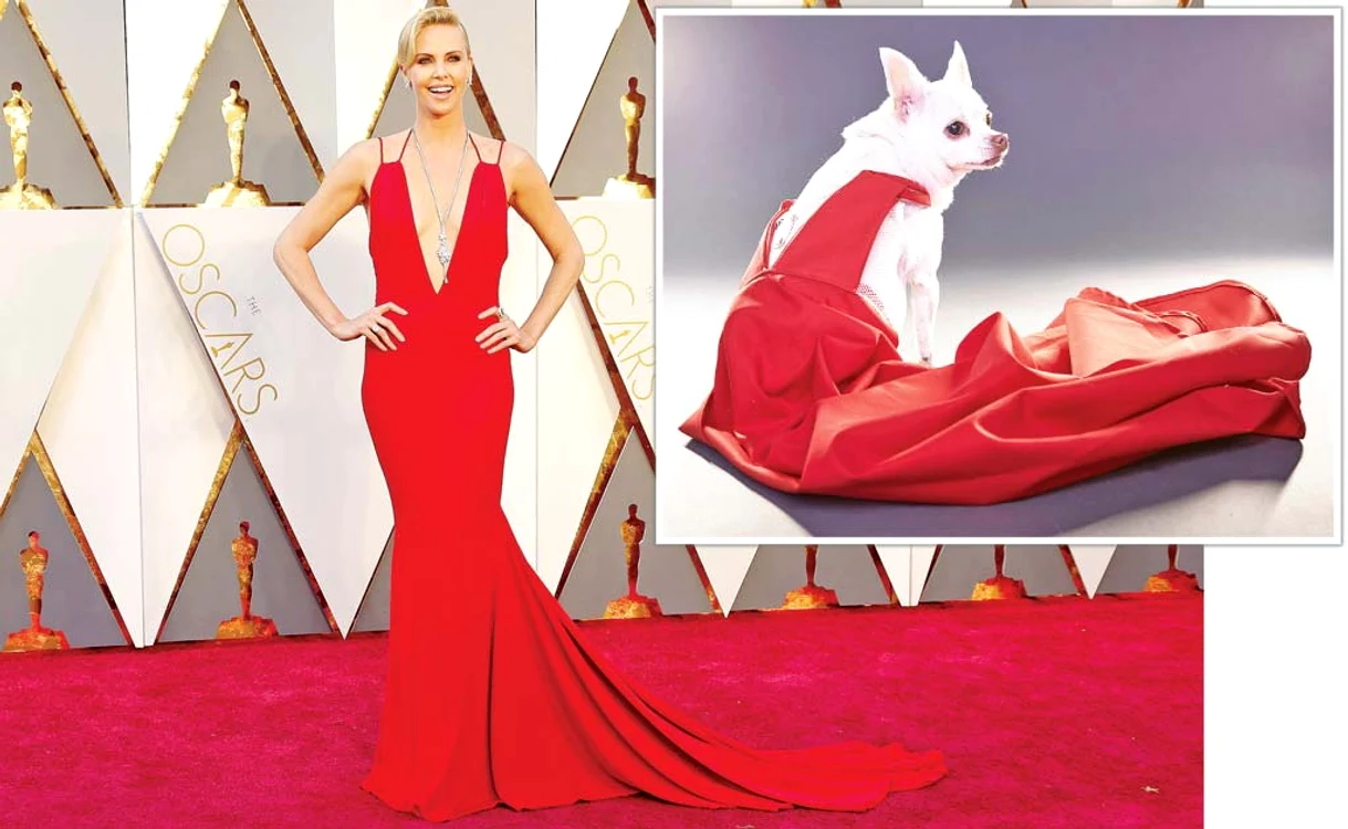 
    Charlize Theron (44 de ani) într-o rochie Dior. Rochia roşie imită perfect ţinuta lui Charlize TheronFoto: profimedia  