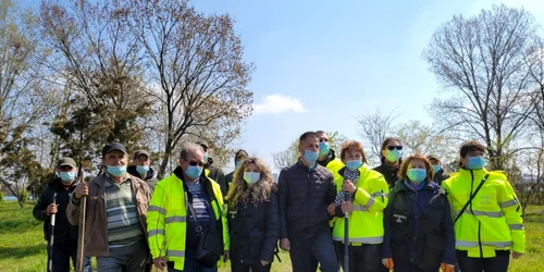 plantare copaci constanta foto Garda de mediu constanta