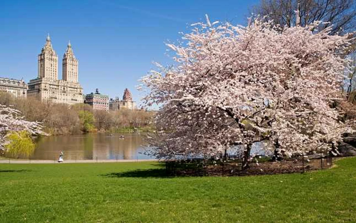 FOTO Alamy/Central Park din New York este o destinaţie ideală primăvara