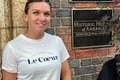cub monica iagăr simona halep png