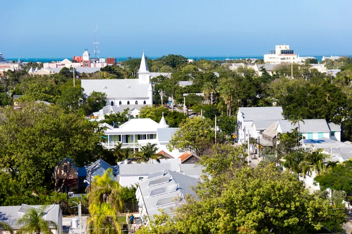 Ei sunt românii acuzaţi de tâlhărieFoto: Arkansas Online