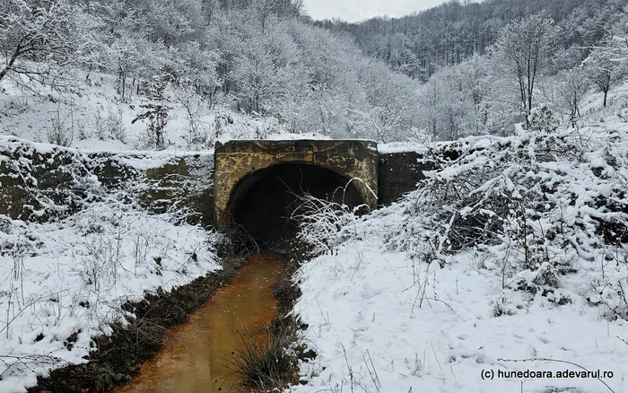 Intrare în subteran. La Crișcior. Foto: Daniel Guță. ADEVĂRUL