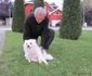 Emerich Dembroschi şi Athos la plimbare FOTO Ştefan Both