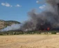 Arde pădurea în Tulcea FOTO Facebook