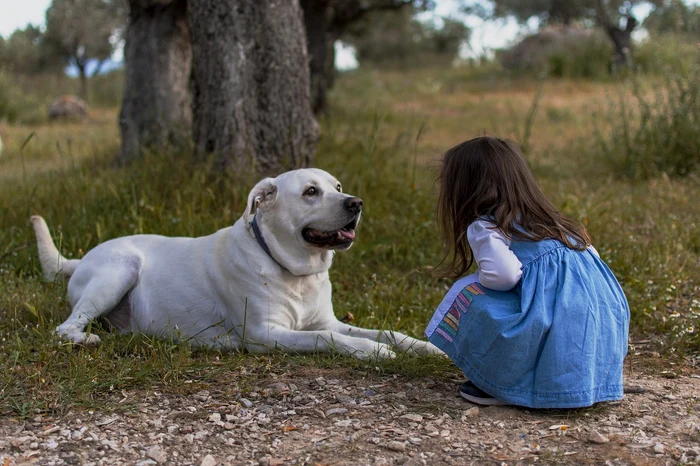 foto catel și fetita joaca 