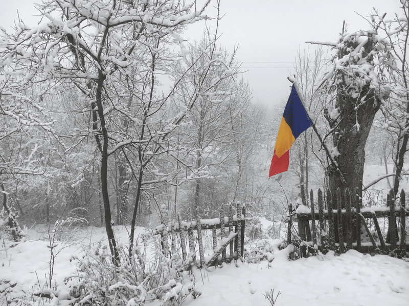 Mesajul unui român care s-a întors în țară: „La mulți ani fericiți, România și copiilor care chiuie pe ulițele tale!“