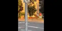 cal gif