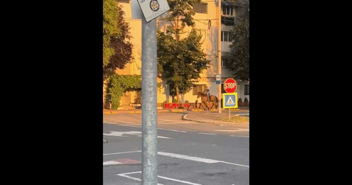 Urmărirea unui călăreț pe străzile din Focșani