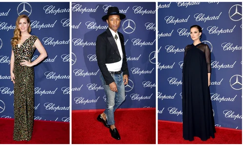 palm springs festival jpeg