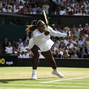 serena 8669124 jpg