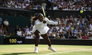 serena 8669124 jpg