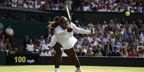 serena 8669124 jpg