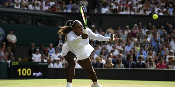 serena 8669124 jpg
