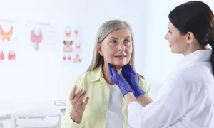 shutterstock 2379280039 jpg