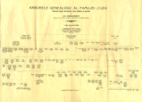 1912. „Arborele genealogic al familiei Cuza, întocmit după documente, acte publice de Gh. Ghibănescu, profesor și fost deputat, membru corespondent al Academiei Române” (© ANR, SANIC, Fond personal Cuza Alexandru Ioan, dosar 51)