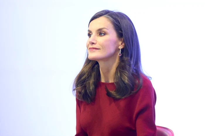 Regina Letizia apariție 19 decembrie (5) jpg
