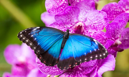 1 75378 original jpg jpeg