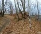 Turnul la Vămi, cetatea dacică Blidaru Foto Daniel Guță ADEVĂRUL (1) jpg