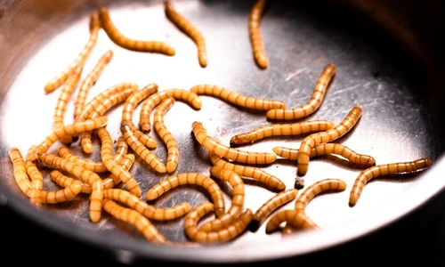 1 shutterstock 1885877848 jpg jpeg